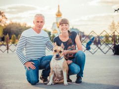 Семинар Джерарда О'Ши в России