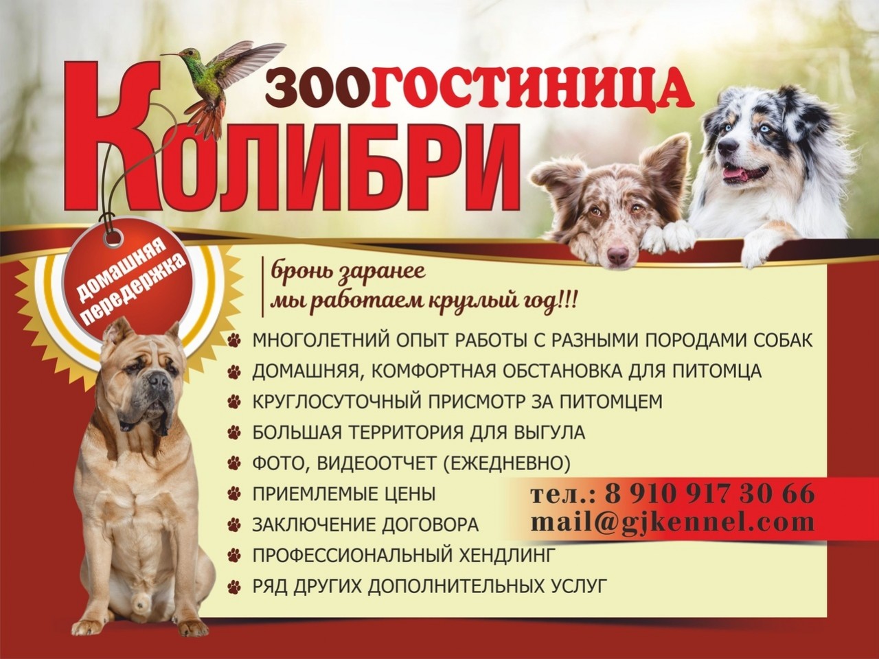 ЗООГОСТИНИЦА КОЛИБРИ (домашняя передержка)