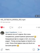 ЗООГОСТИНИЦА КОЛИБРИ (домашняя передержка)