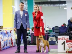 Oльга Евдокимова (официальный хендлер питомника GaidJewel's)