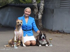 Oльга Евдокимова (официальный хендлер питомника GaidJewel's)