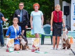 Ольга Калинина (владелец питомника GaidJewel's)