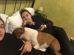 Поездка в Италию (Amstaff's Masters 2019)