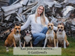 О Gaidjewel's: Как рождается мечта. Часть 1