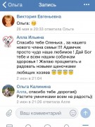 Отзывы о питомнике GaidJewel's