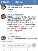 Отзывы о питомнике GaidJewel's