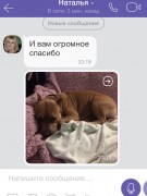 Отзывы о питомнике GaidJewel's