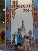 Выставки (хендлинг)