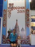 Выставки (хендлинг)