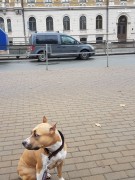Путешествие в Латвию