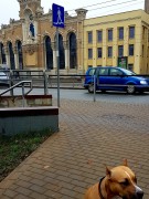 Путешествие в Латвию
