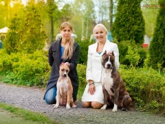'GaidJewel's Team: наша команда'