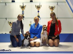 'GaidJewel's Team: наша команда'