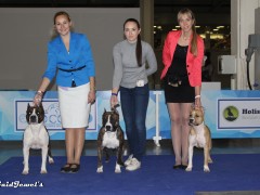 'GaidJewel's Team: наша команда'