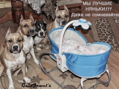 Милена и GaidJewel's