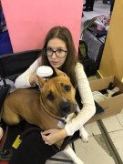 Амстаффы GaidJewel's и Дети