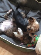 Друзья GaidJewel's