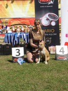 21 Национальный Чемпионат Амстаффов 2017