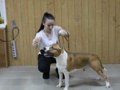 GaidJewel's Archibald (Арчи)