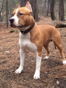 GaidJewel's Bruce Lee