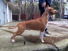 GaidJewel's Bruce Lee
