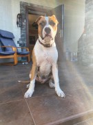 GaidJewel's Jackpot (Джек)
