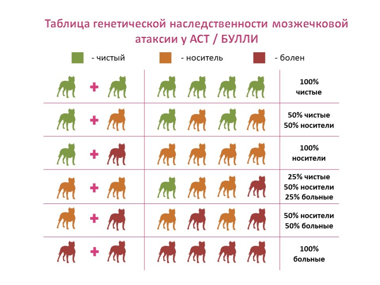 АТАКСИЯ у собак  — страшный диагноз!!!