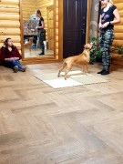 Мастер-класс Ольги Евдокимовой