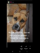 ГОСПОДИ,ДАЙ МНЕ СИЛ....МОЯ ГУЧЧИ (2.01.2012 — 17.06.2021)