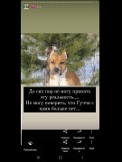 ГОСПОДИ,ДАЙ МНЕ СИЛ....МОЯ ГУЧЧИ (2.01.2012 — 17.06.2021)